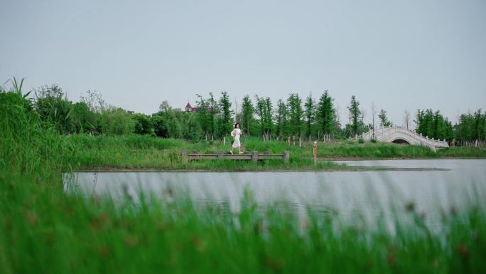 湿地公园 蟠龙湖