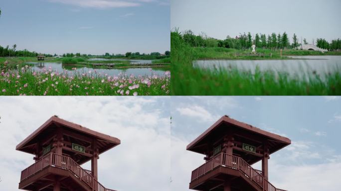湿地公园 蟠龙湖