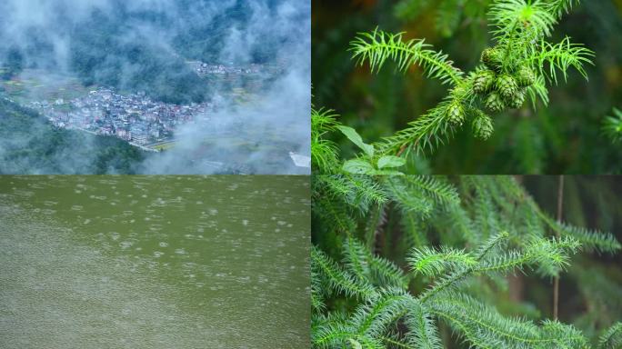 南方雨季下雨雨滴阴雨树叶潮湿天气