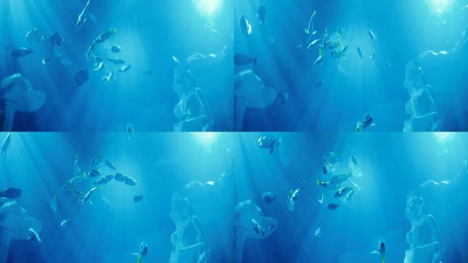 深海中的奥秘海洋馆海底世界游鱼小鱼