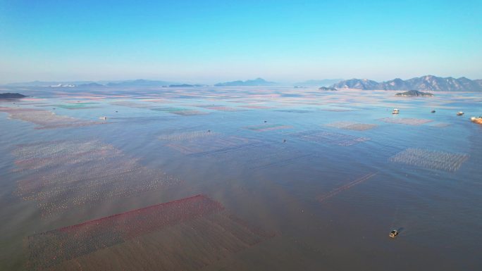 航拍福建宁德霞浦海岸滩涂日落养殖场