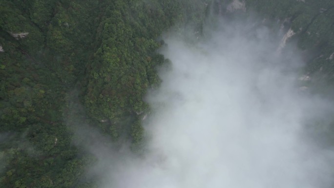 峨眉山云海