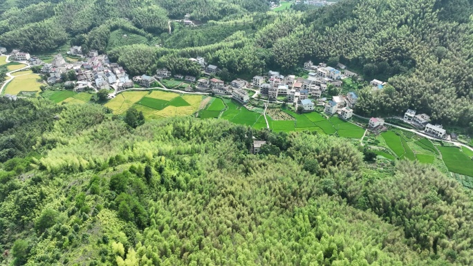 乡村航拍江西农村风光美丽乡村振兴绿色农村