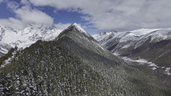 白马雪山