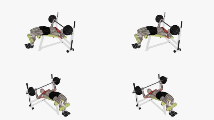 杠铃卧推下降健身运动锻炼动画男性肌肉突出演示4K分辨率60 fps