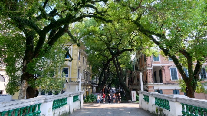 广州老街 沙面 街景 历史景观 欧式建筑