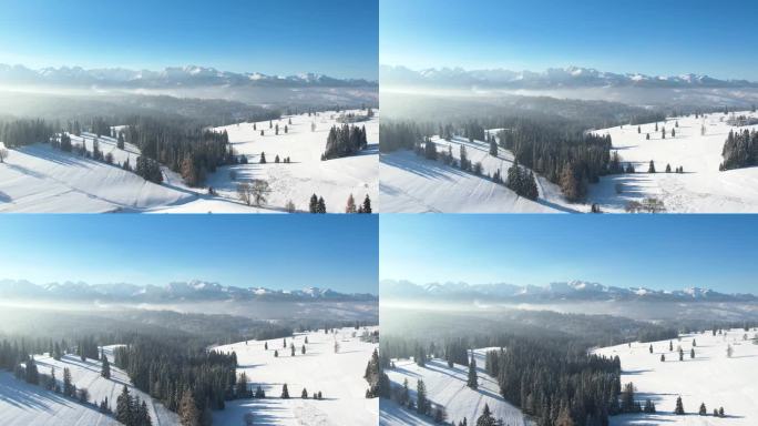 壮丽的高山景色和白色的冬天。鸟瞰雪山景观。塔特拉高山和神奇的未受破坏的风景与冰冻的云杉树。
