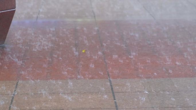 城市夜晚下雨天雨景人流夜景街景撑伞行人_