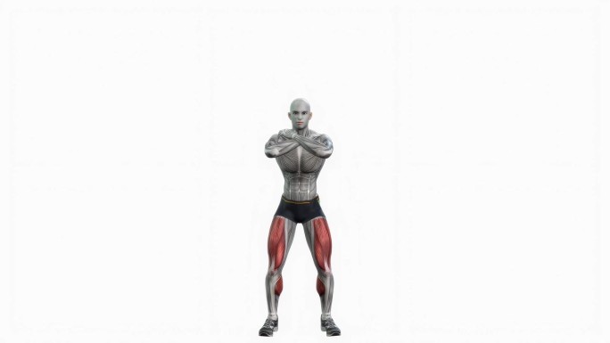 体重深蹲保持健身运动锻炼动画男性肌肉突出演示4K分辨率60 fps