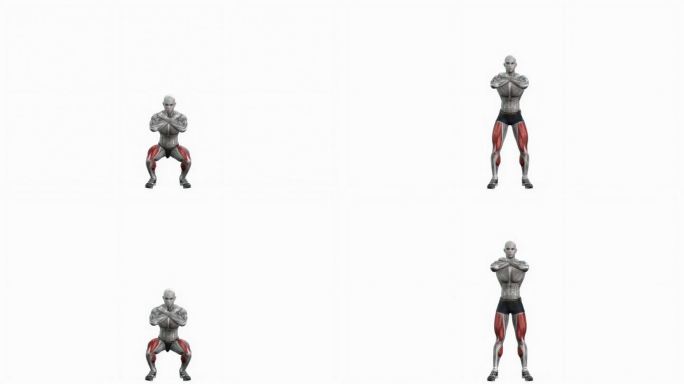 体重深蹲保持健身运动锻炼动画男性肌肉突出演示4K分辨率60 fps