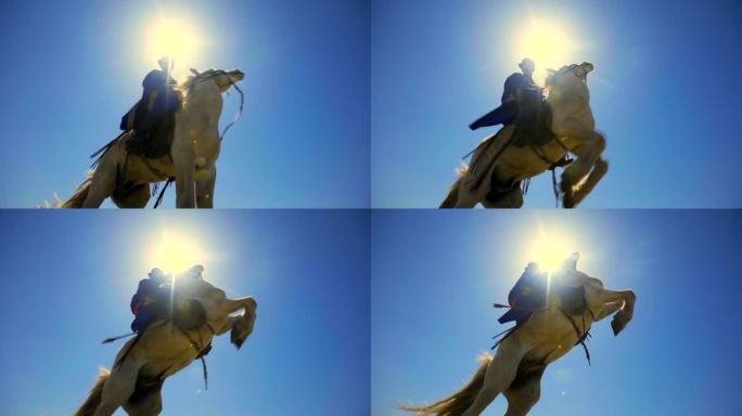 太阳下蒙古族少年骑白马一跃而起抬腿腾跃