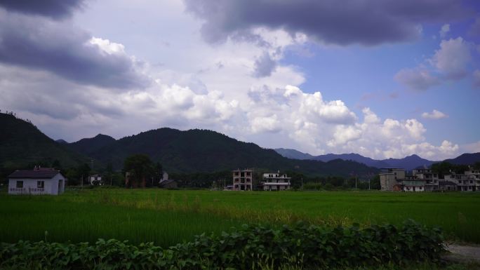 汽车窗外移动风景侧窗天空风景电线路灯树林