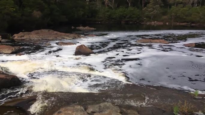 西澳大利亚沃波尔附近的弗兰克兰河和圆形游泳池，由于皂苷含量高，产生了泡沫。