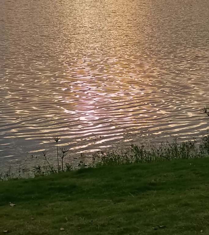 落日照耀在水面上