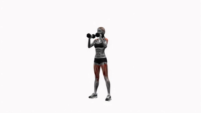 哑铃深蹲到肩压健身运动锻炼动画女性肌肉突出演示4K分辨率60 fps