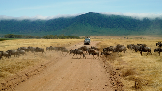 恩戈罗恩戈罗国家公园 恩戈罗恩戈罗火山口