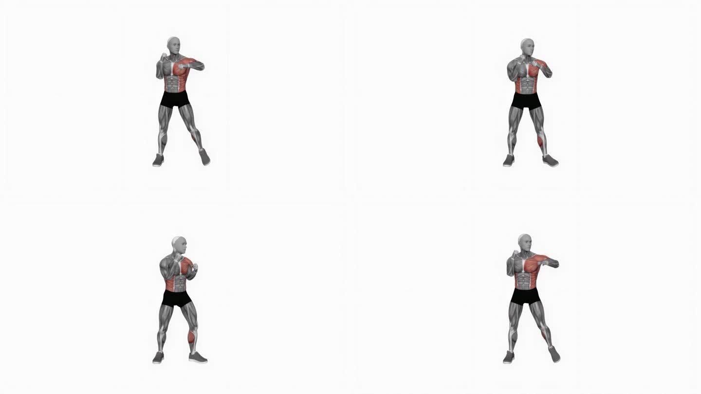 拳击左勾拳健身运动锻炼动画男性肌肉突出演示4K分辨率60 fps