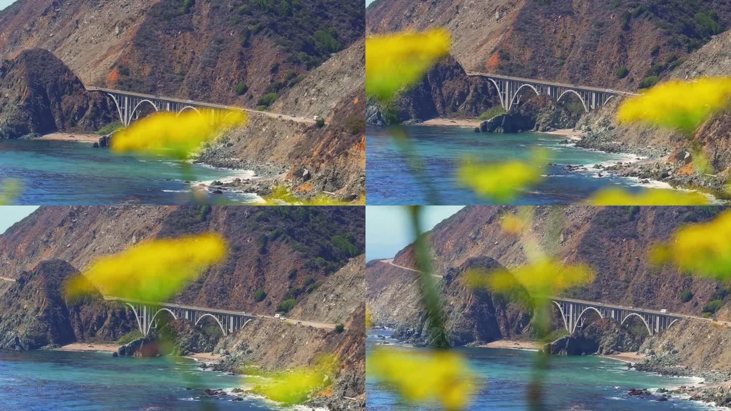 加州的大溪桥。在路上行驶的汽车。前面的黄色花朵没有聚焦