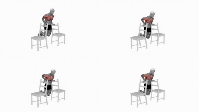 椅子之间的跳水健身运动锻炼动画男性肌肉突出演示4K分辨率60 fps