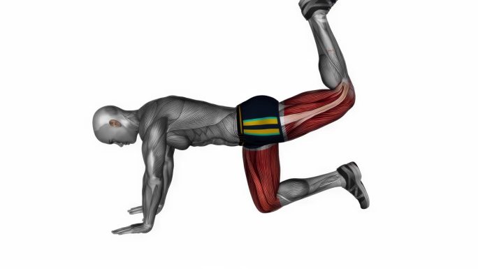 驴踢体重健身运动锻炼动画男性肌肉突出演示4K分辨率60 fps