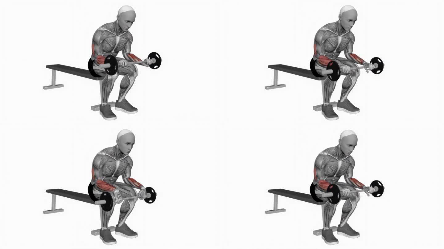 杠铃手腕伸展膝盖健身运动锻炼动画男性肌肉突出演示4K分辨率60 fps