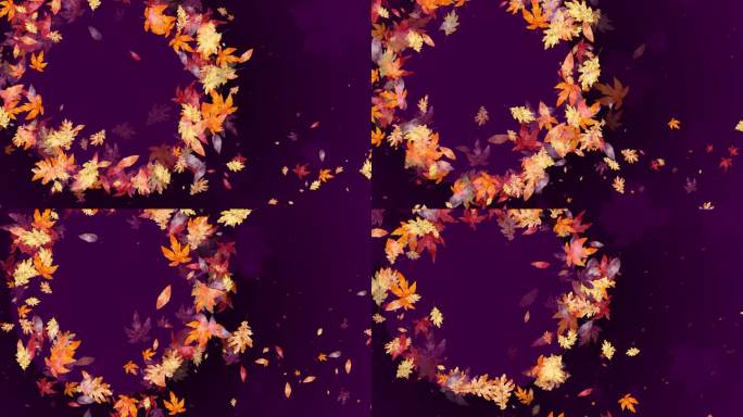 圆形框架的秋天黄色的落叶在紫色黑暗喜庆的背景。树叶在风中旋转。循环动画。