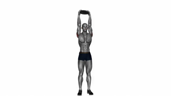 负重站立肩压与平板健身运动锻炼动画男性肌肉突出演示4K分辨率60 fps
