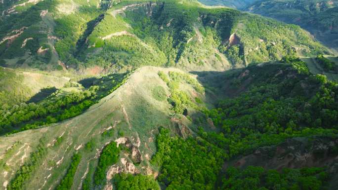 山沟 黄土高原的山沟 黄土变绿地