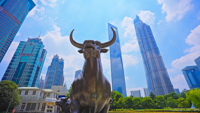 上海证券交易所，金融牛，股票牛市