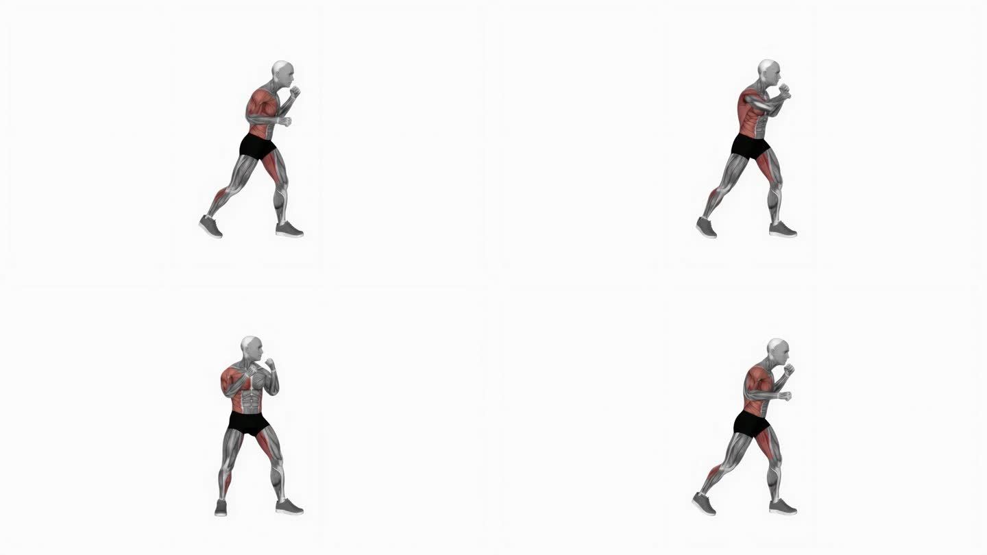 拳击右勾拳健身运动锻炼动画男性肌肉突出演示4K分辨率60 fps