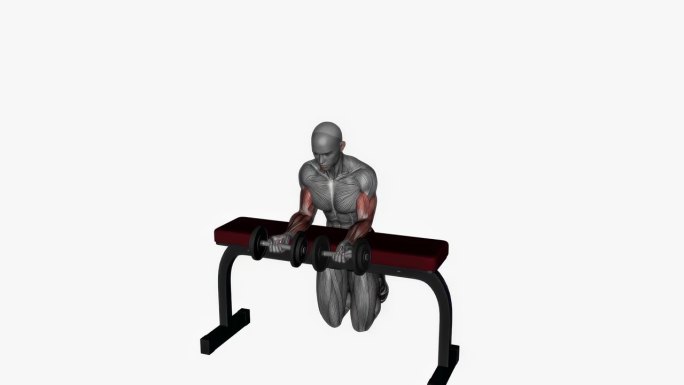 手腕弯曲哑铃健身运动锻炼动画男性肌肉突出演示4K分辨率60 fps