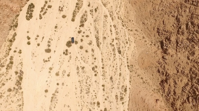 航拍沙漠戈壁滩梭梭丛中行驶的汽车