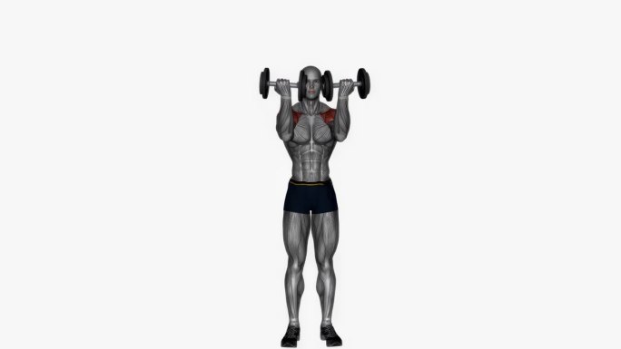 站立阿诺德按哑铃健身运动锻炼动画男性肌肉突出演示4K分辨率60 fps