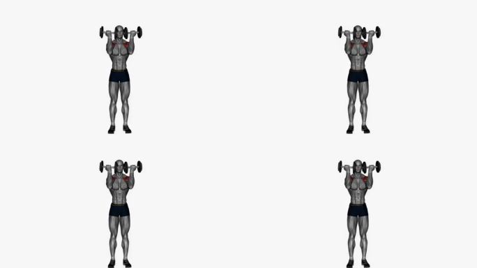 站立阿诺德按哑铃健身运动锻炼动画男性肌肉突出演示4K分辨率60 fps