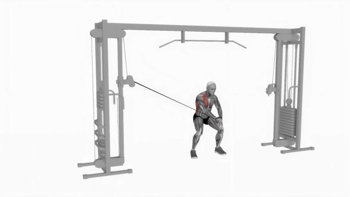 单臂侧弯健身运动锻炼动画男性肌肉突出演示4K分辨率60 fps