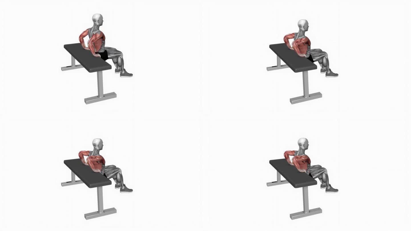 Bench Dip膝盖弯曲健身运动锻炼动画男性肌肉突出演示4K分辨率60 fps