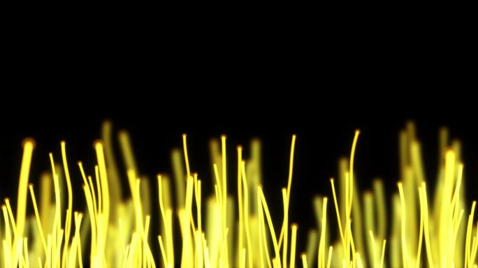 金色植物粒子生长效果ae模板工程文件
