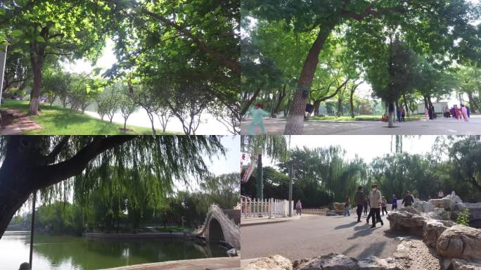 北京市公园龙潭湖晨练健身退休生活老人锻炼