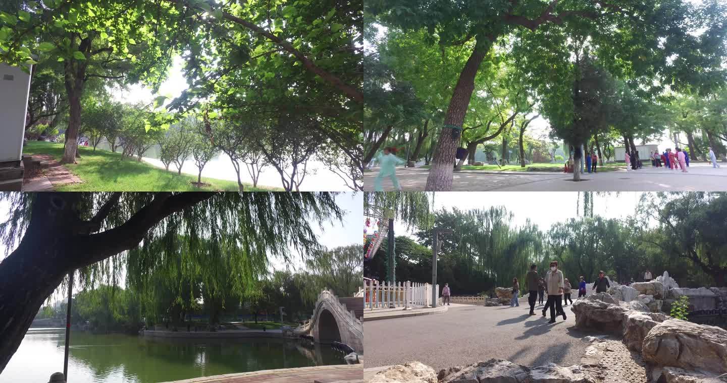 北京市公园龙潭湖晨练健身退休生活老人锻炼