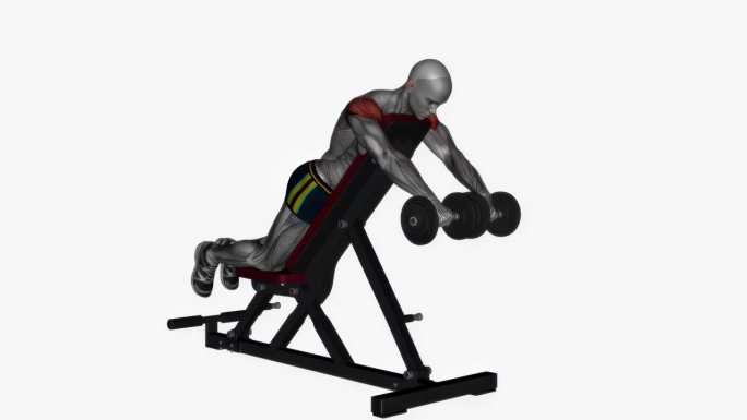 俯卧前举哑铃在长凳上健身锻炼锻炼动画男性肌肉突出演示4K分辨率60 fps