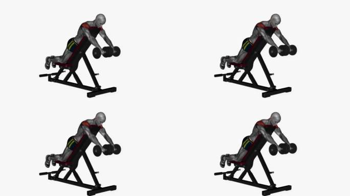 俯卧前举哑铃在长凳上健身锻炼锻炼动画男性肌肉突出演示4K分辨率60 fps