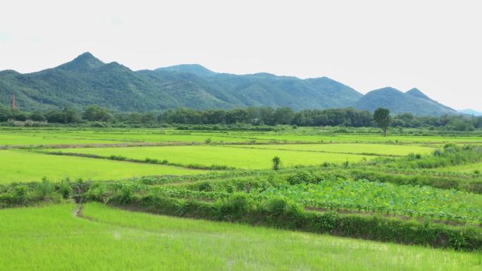 池州石台乡村