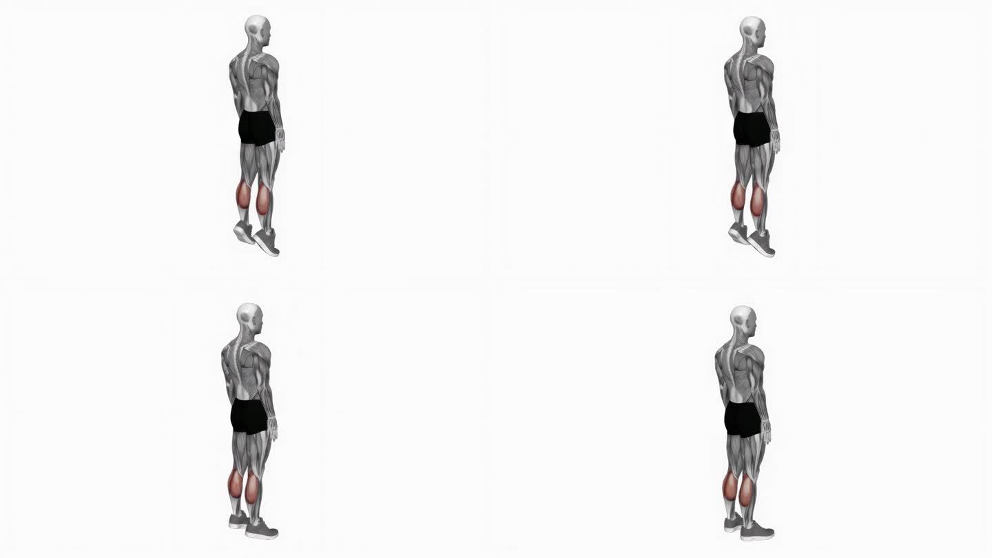 体重站立小腿抬高健身运动锻炼动画男性肌肉突出演示4K分辨率60 fps