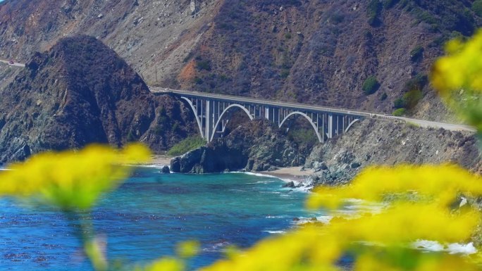 加州的大溪桥。美丽的黄花
