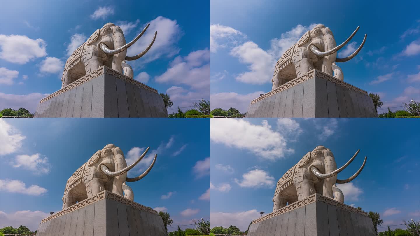甘肃合水县南广场大象雕塑延时