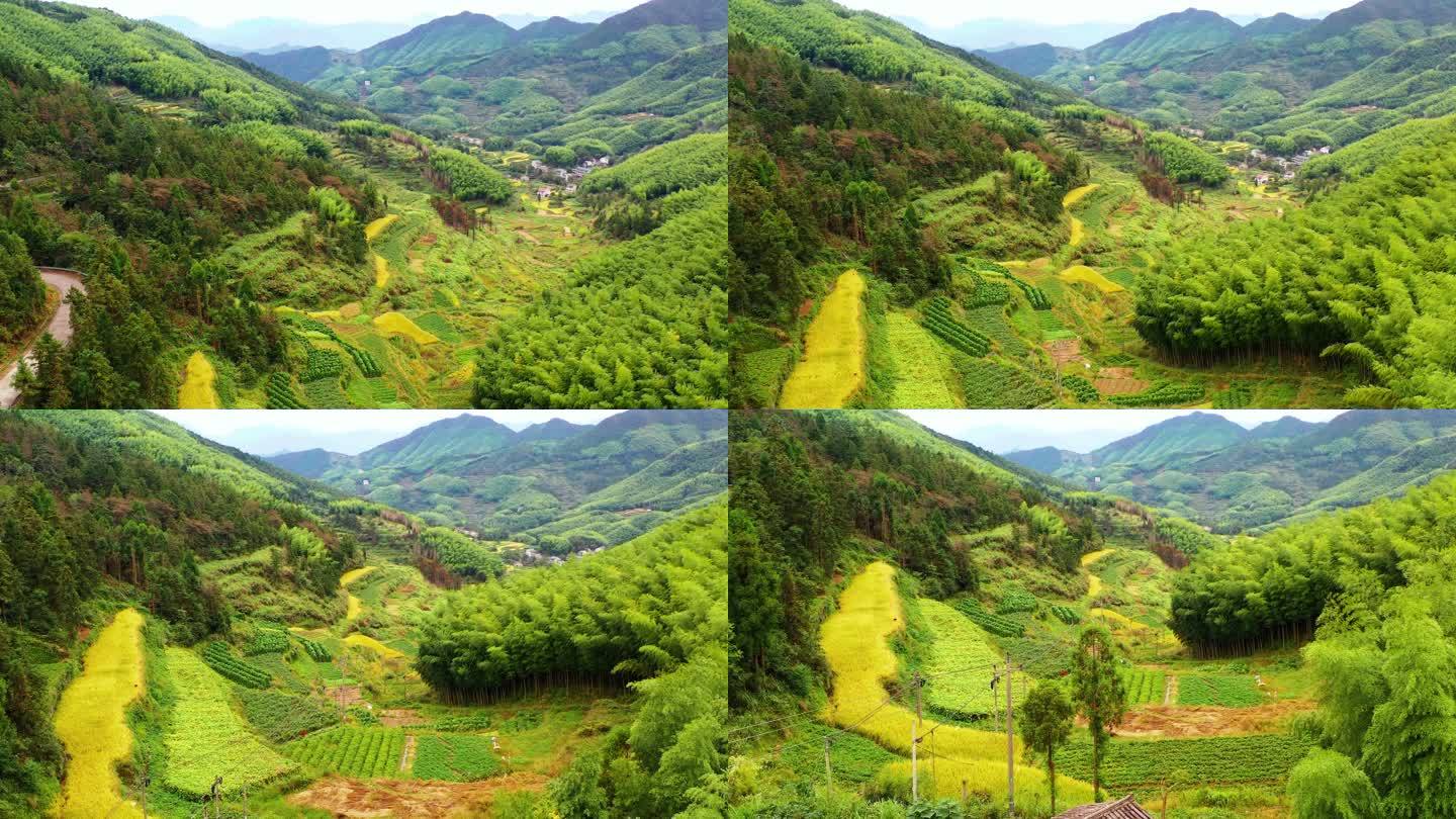 浙江黄岩西部山区，富山乡，自然风光