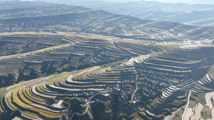 黄土高原丘陵梯田沟壑地形地貌