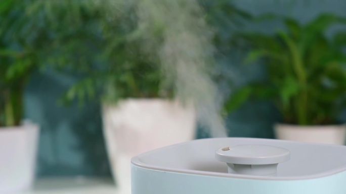 超声波加湿器释放冷蒸汽。植物在干燥空气中的养护和水合作用。