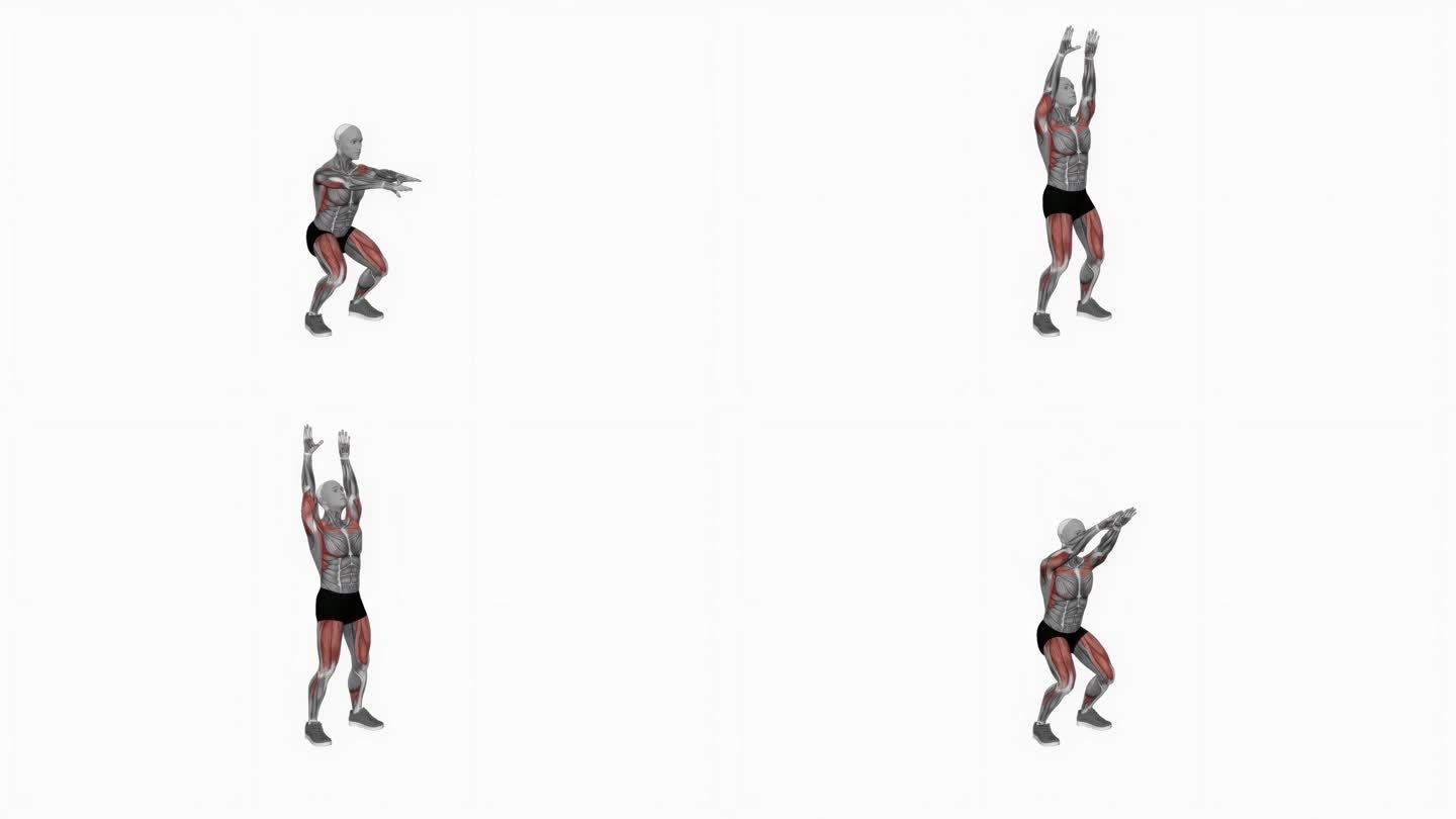 体重全深蹲与顶压健身运动锻炼动画男性肌肉突出演示4K分辨率60 fps