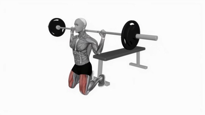 杠铃跪蹲健身运动锻炼动画男性肌肉突出演示4K分辨率60 fps